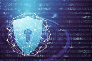 网贷系统等级保护备案与网络信息安全软件开发